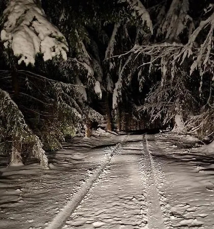Treehouse Podpolanie Prázdninový dům *