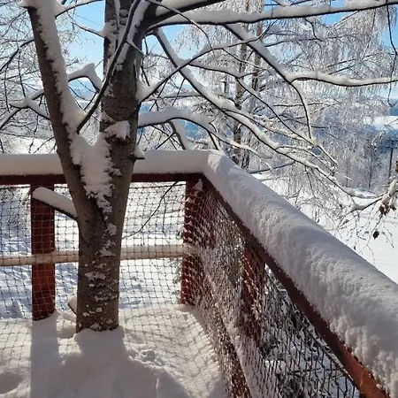 Treehouse Podpolanie Zólyommiklós