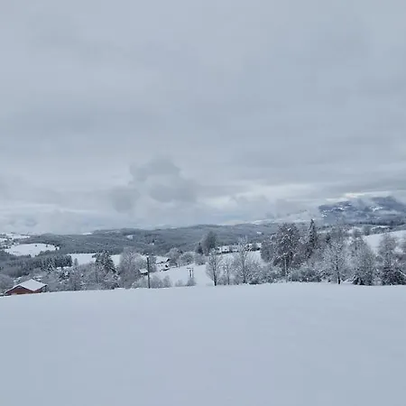 Treehouse Podpolanie Nyaraló Zólyommiklós