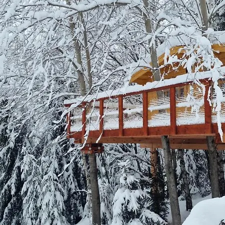 Treehouse Podpolanie