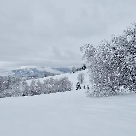 Nyaraló Treehouse Podpolanie