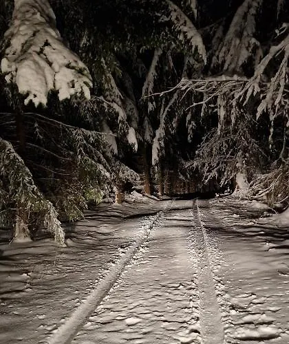 Treehouse Podpolanie 펜션 *