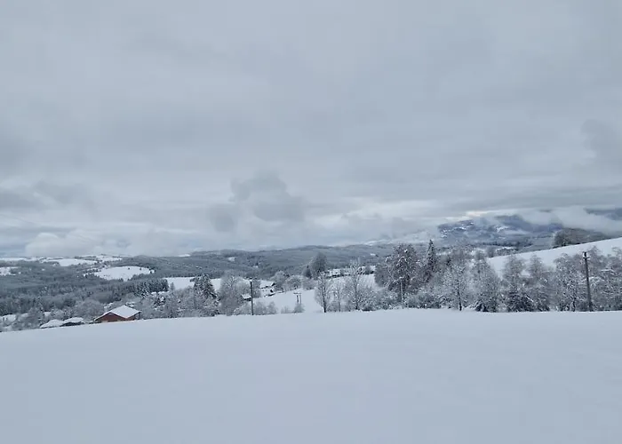 Treehouse Podpolanie 펜션 Detvianska Huta