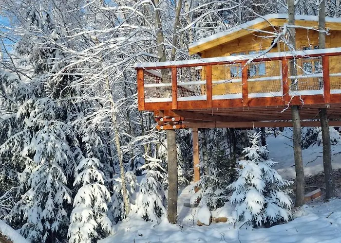 Treehouse Podpolanie * Detvianska Huta