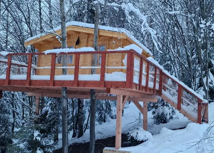 Hébergement de vacances Treehouse Podpolanie