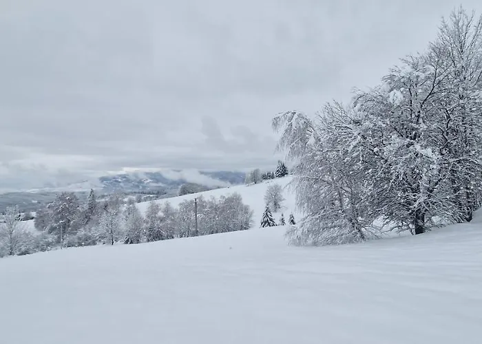 펜션 Treehouse Podpolanie