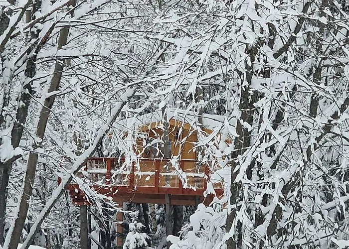 Hébergement de vacances Treehouse Podpolanie
