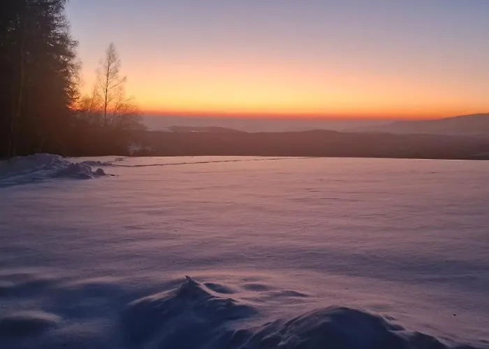 Treehouse Podpolanie 펜션